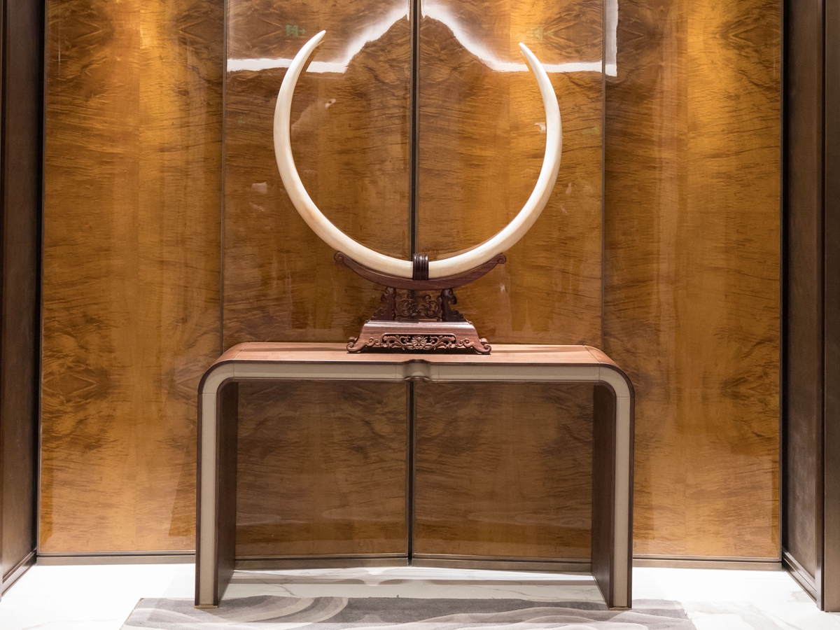 IMG_0085_副本 IMG_0085_副本